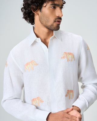 The Jaipur Safari Shirt